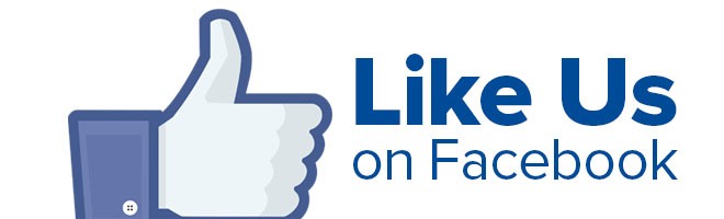 Facebook Like Badge